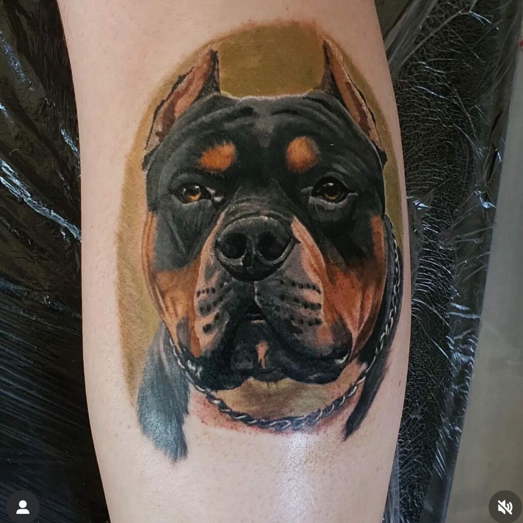 Pitbull Hand Colour Tattoo